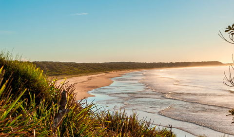 Burrawang Track - Conjola Beach To Buckleys Point - Tourism Guide 2