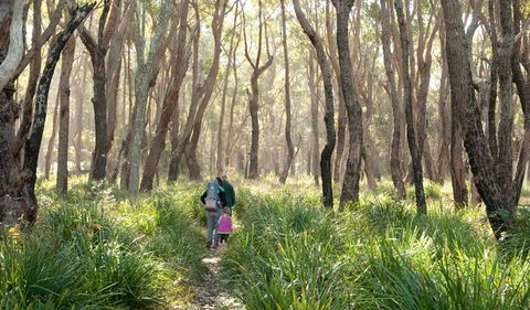 Nerindillah Lagoon Walking Track - Tourism Guide 3