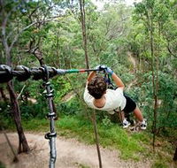 TreeTop Challenge - Tourism Guide