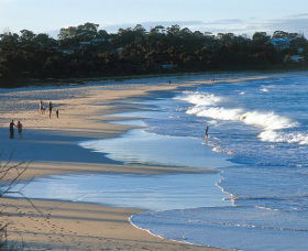 Mollymook Beach - Tourism Guide 1