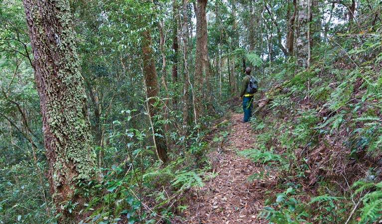Never Never NSW Tourism Guide