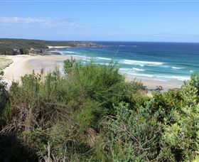 South Pacific Heathland Reserve - Tourism Guide 0