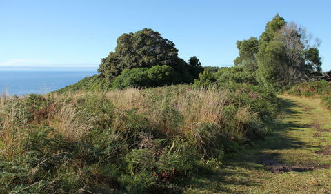 Pretty Beach To Durras Mountain Walking Track - Tourism Guide 2