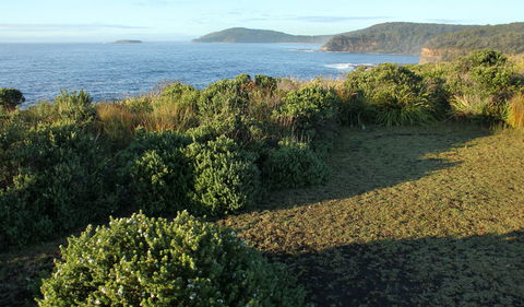 Pretty Beach To Durras Mountain Walking Track - Tourism Guide 3