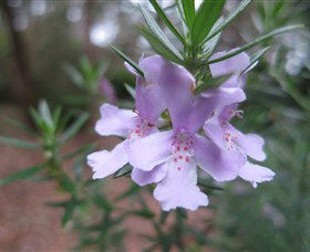 Booderee National Park Botanic Gardens - Tourism Guide 5