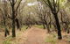 Pretty Beach To Snapper Point Walking Track - thumb 0