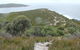Pretty Beach To Snapper Point Walking Track - thumb 2