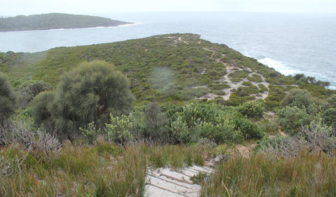 Pretty Beach To Snapper Point Walking Track - Cruises Travel 2