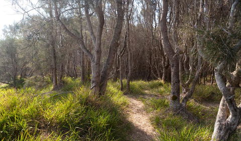 Murramarang Aboriginal Area Walking Track - Tourism Guide 1