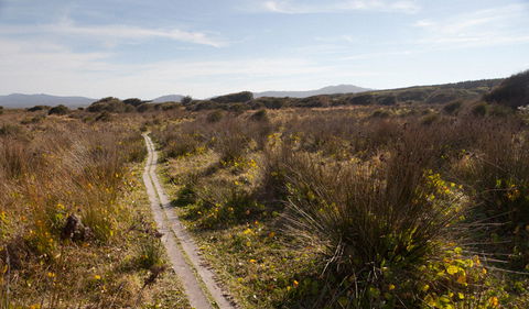 Murramarang Aboriginal Area Walking Track - Tourism Guide 2