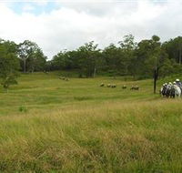 Numinbah Valley Adventure Trails - Tourism Guide