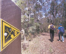 Greenbushes Loop - Tourism Guide 1
