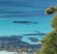 Jervis Bay Marine Park - Tourism Guide