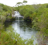 Booderee National Park Green Patch and Telegraph Creek Walking Tracks - Tourism Guide