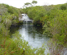 Booderee National Park: Green Patch And Telegraph Creek Walking Tracks - Tourism Guide 0