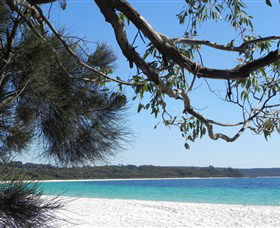 Booderee National Park: Green Patch And Telegraph Creek Walking Tracks - Tourism Guide 6