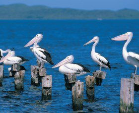 Walpole-Nornalup Inlets - Travel Agents 1