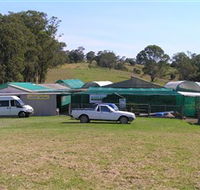 Tinonee Orchid Nursery - Tourism Guide