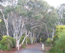 Booderee National Park: Munyunga Waraga Dhugan Walking Trail - Tourism Guide 3