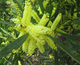 Booderee National Park: Munyunga Waraga Dhugan Walking Trail - Tourism Guide 1