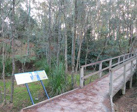 Booderee National Park: Munyunga Waraga Dhugan Walking Trail - Tourism Guide 8