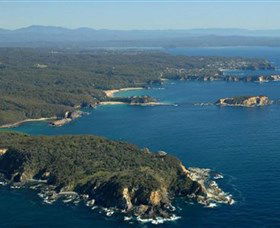 Banksia Walk - Burrewarra Point - Tourism Guide 0