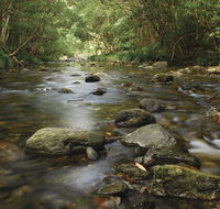 Plateau Circuit loop trail - Tourism Guide