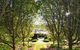 All Saints Garden - thumb 4