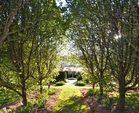 All Saints Garden - Tourism Guide 4