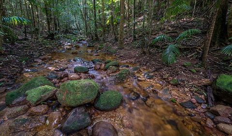 Starrs Creek Picnic Area - Tourism Guide 0
