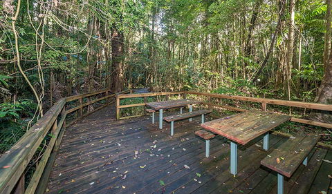 Starrs Creek Picnic Area - Tourism Guide 1