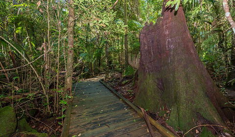 Starrs Creek Picnic Area - Tourism Guide 2