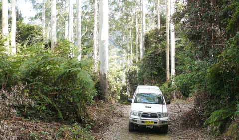 Bindarri National Park - Tourism Guide 2