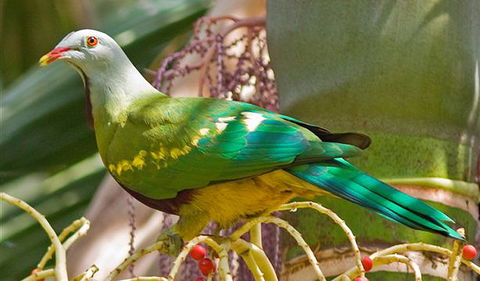 Bindarri National Park - Tourism Guide 3