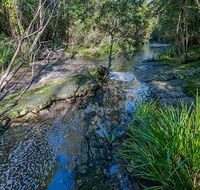 Dawson River walking track - Tourism Guide