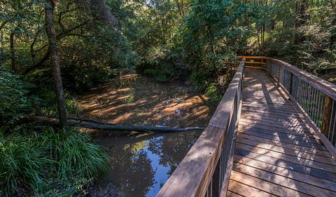 Ms Kellys Walking Track - Tourism Guide 0