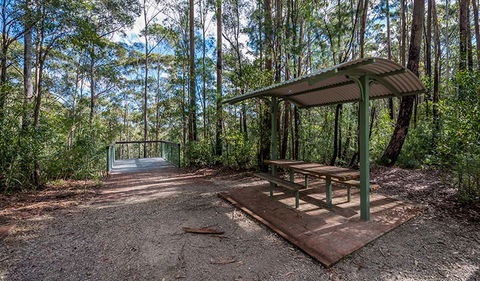 Big Nellie Lookout And Picnic Area - Tourism Guide 0