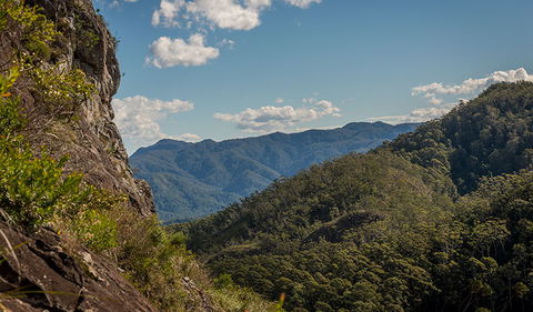 Big Nellie Lookout And Picnic Area - Tourism Guide 1