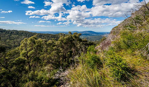 Big Nellie Lookout And Picnic Area - Tourism Guide 2