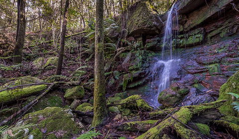 Coorabakh National Park - Tourism Guide 0