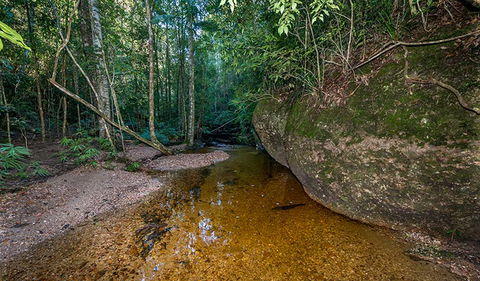 Coorabakh National Park - Tourism Guide 2