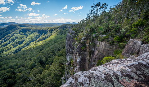 Coorabakh National Park - Tourism Guide 3
