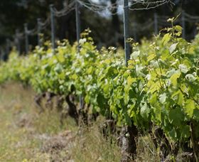 Barton Jones Wines - Travel Agents 2