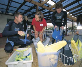 Dolphin Discovery Centre - Tourism Guide 1