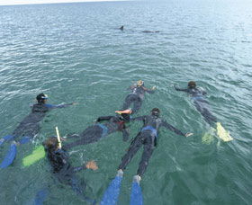 Dolphin Discovery Centre - Tourism Guide 2
