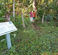 Coramba Nature Reserve - Tourism Guide