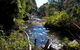 Coramba Nature Reserve - thumb 1