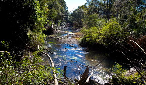 Coramba Nature Reserve - Tourism Guide 1
