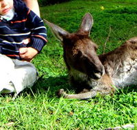 Bunbury Wildlife Park - Tourism Guide