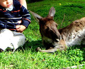 Bunbury Wildlife Park - Tourism Guide 0